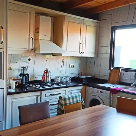 Villa Tas Ev Fethiye